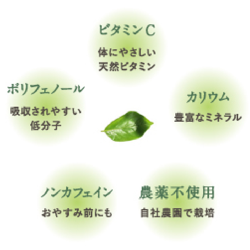 KAKIHA｜柿の専門