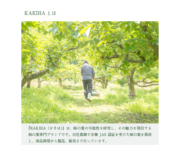 奈良女子×JR東海×柿の専門 KAKIHA×ケーキ